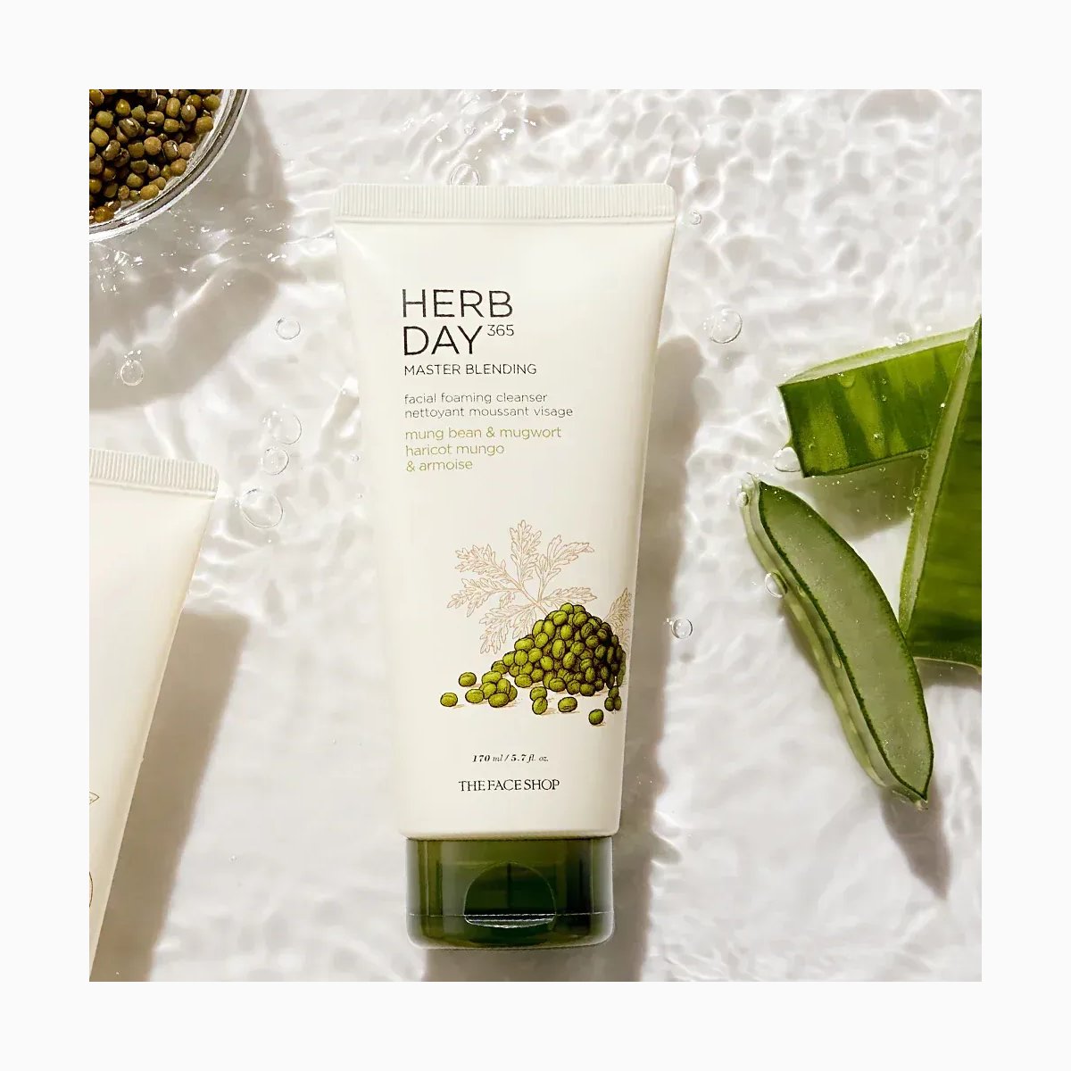 HERB DAY 365 FOAMING CLEANSER SPECIAL SE