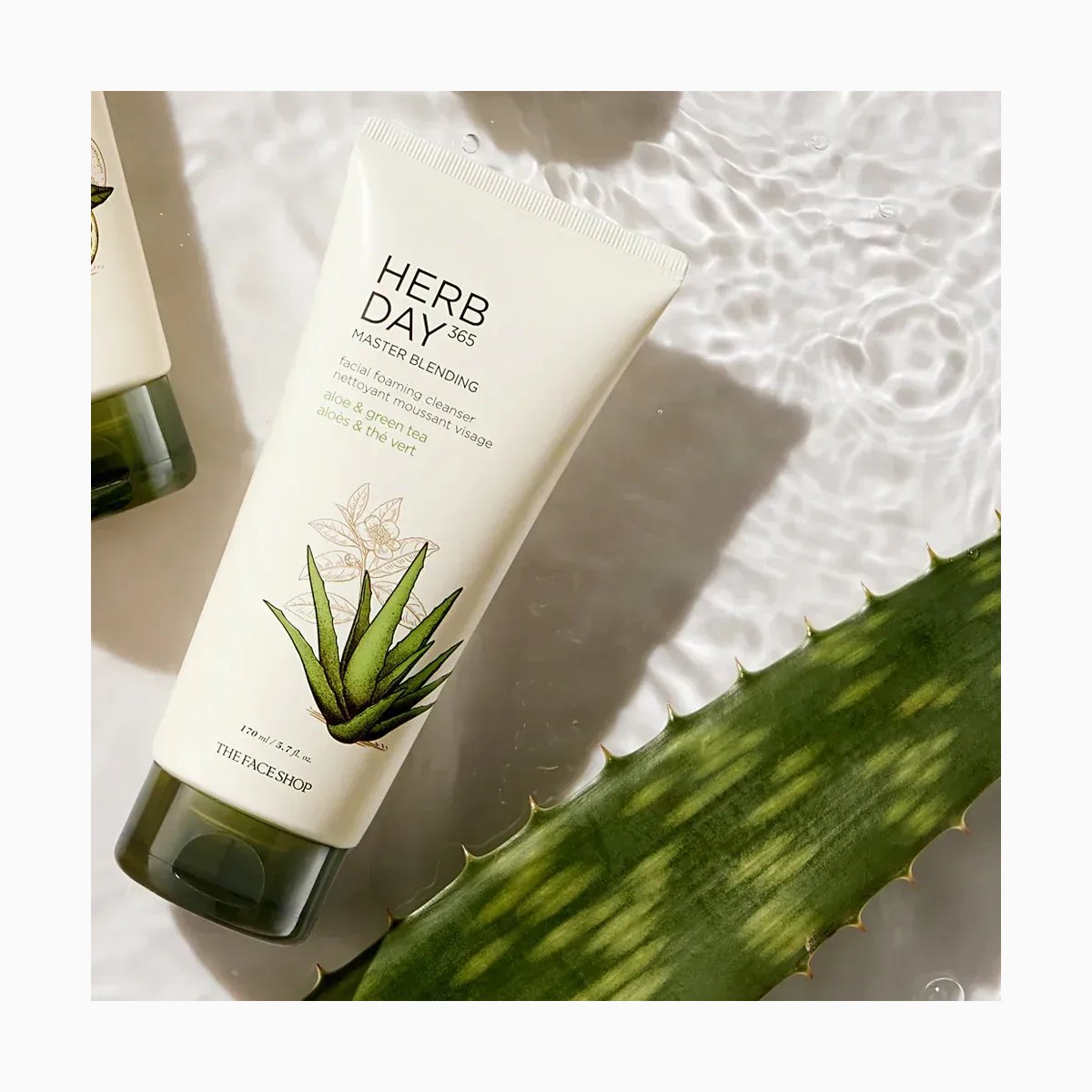 HERB DAY FOAMING CLEANSER ALOE (AVON)